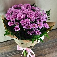 Букет цветов из:  Хризантемы #REPLACE_PRED# Мамхегском
