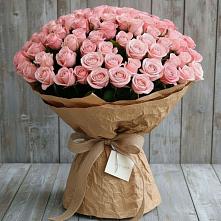 Букет 151 Роза Роуз #REPLACE_PRED# Мамхегском