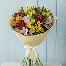 Букет цветов из:  Альстромерии в Мамхегском