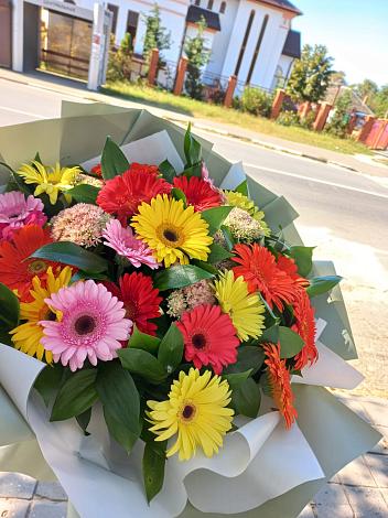 Букет цветов из: Герберы в Мамхегском